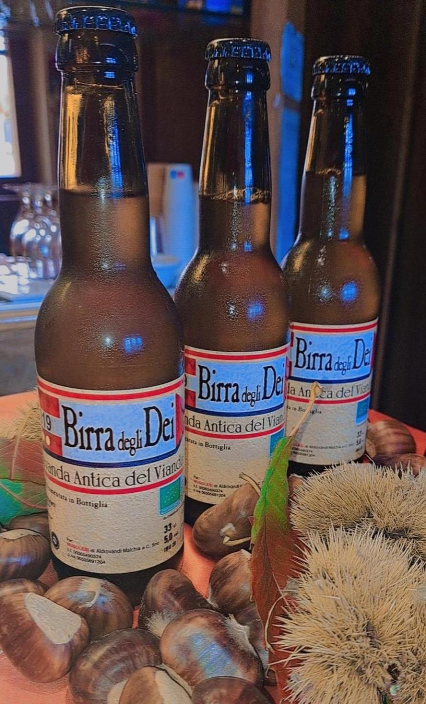 穆索勒斯酒店 Madonna di Fornelli 外观 照片